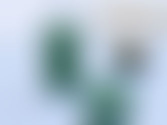 Green, Pink & Purple Power Smoothies