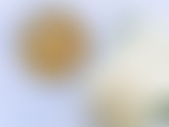 Roasted Pumpkin & Coconut Soup