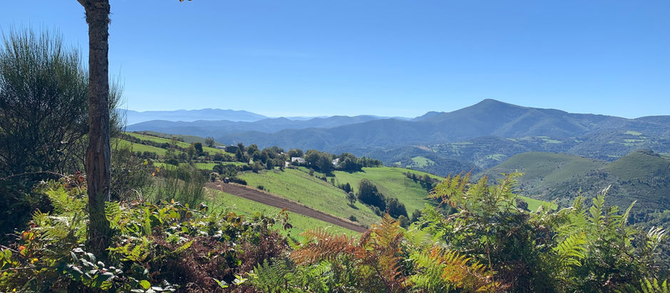 Climbing into the Galatian Region | Day 21