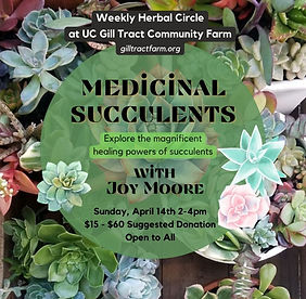 MedicinalSucculents_Joy.jpg