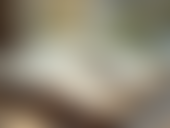 Guérison émotionnelle: Guérir intérieurement, un guide pour les femmes