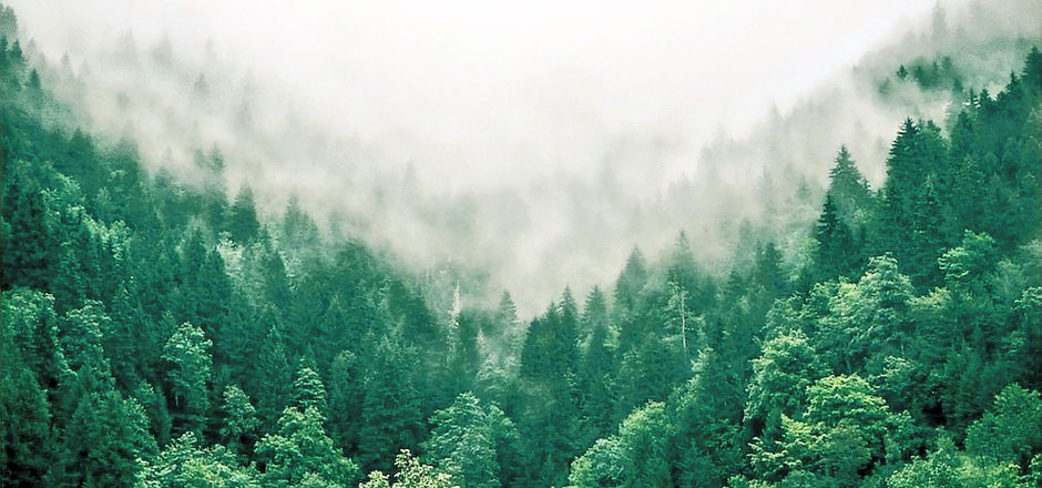 447927318_293368730535614_1017538029586853262_n_edited.jpg
