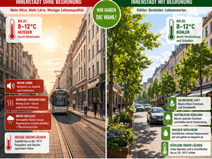 Informationsbrief 4 – RSB Stadtentwicklung, Aufenthaltsqualität, Klima