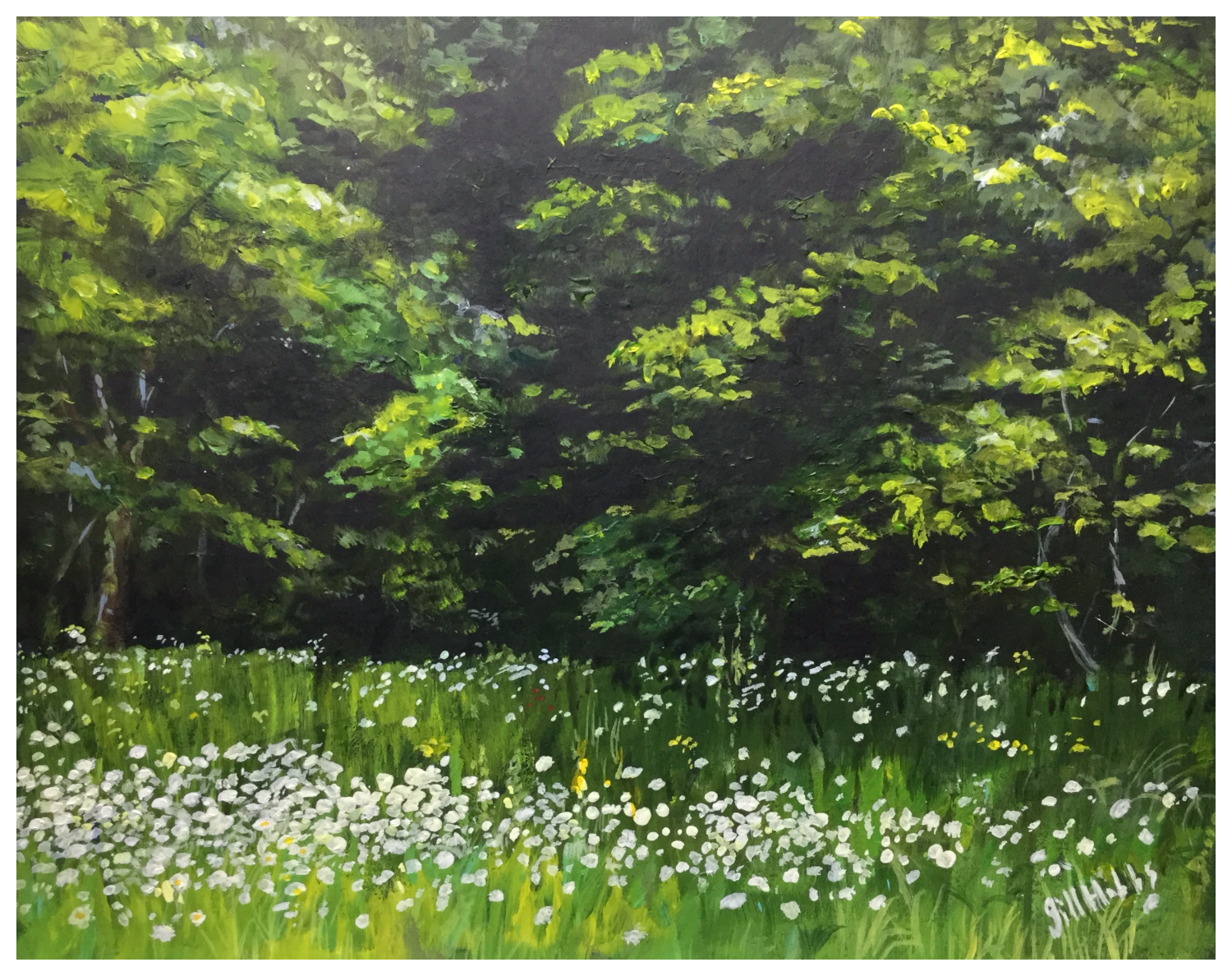 Hardwick daisies.