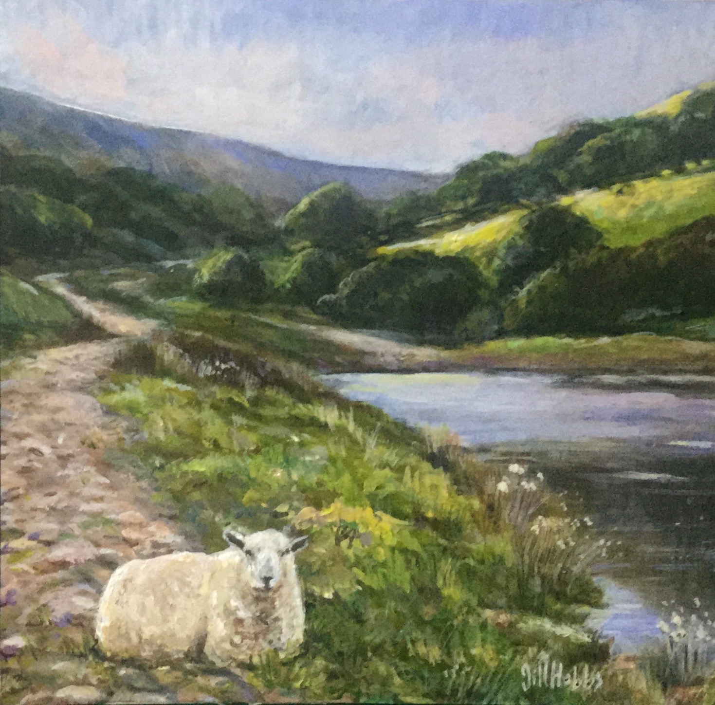 The Ewe, Cwm Lickey Pond. Torfaen