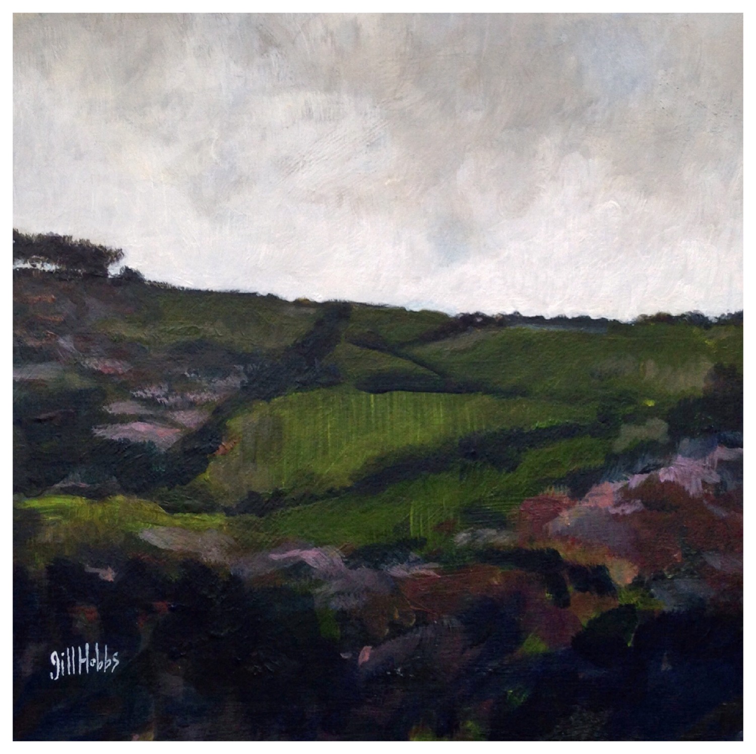Hills over Llandovery. Sold.
