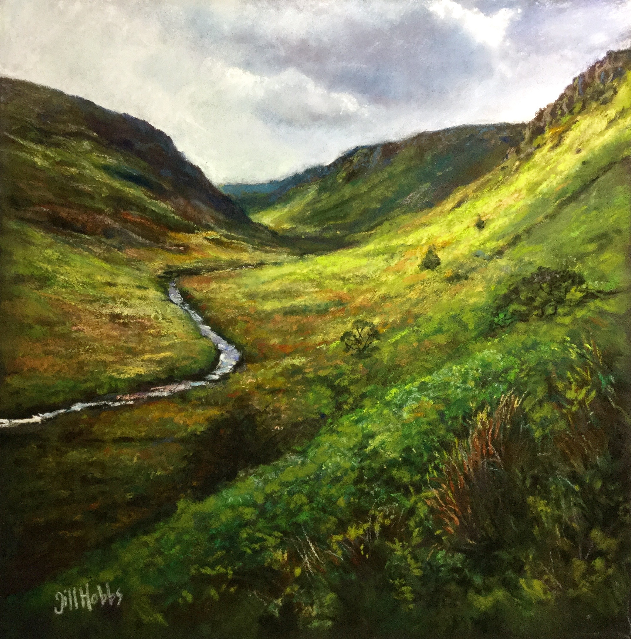 Cwm Du Common, Mid Wales