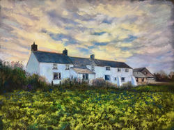 Evening, Bolgoed farm