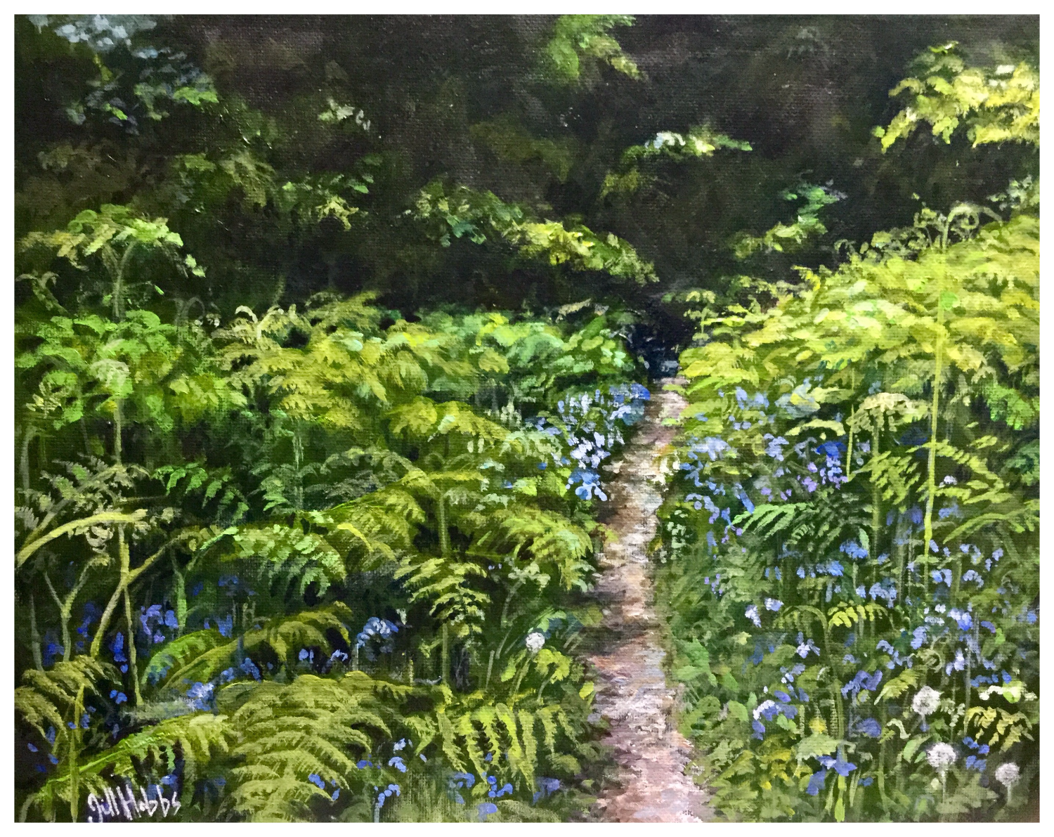 Bluebells.