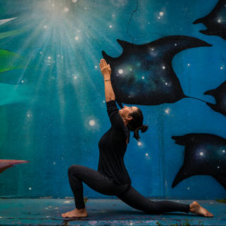 X – Indryartheshu Vairagyam – desapego em relação aos objetos dos sentidos ou ausência de uma compulsão pelos prazeres mundanos e posses