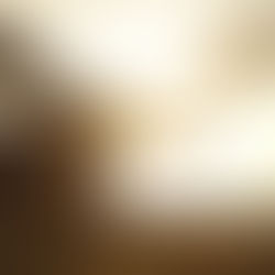 A Relação entre o Vedanta e o Yoga