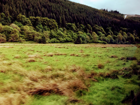 The highlands & the Lowlands