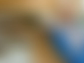 The idea behind Correa’s works