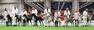 Gruppi Allevamento DCDR Emilia Winner 2023