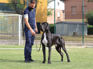 Expò Int. MS Roma 13/11/21