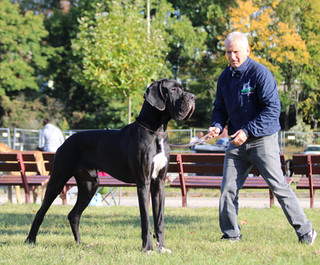 Qelvin dcdr Giovane Campione della Rep. Ceca