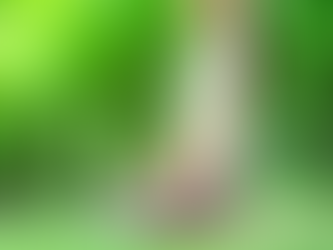 6月がスタートしました!