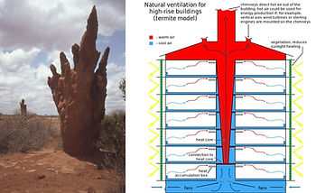 David Attenborough at 100, David Attenborough, Sustainable Architecture, Biomimicry, Environmental Design, Ecological Urbanism, Climate Responsive Design, Nature and Architecture, Art and Environment