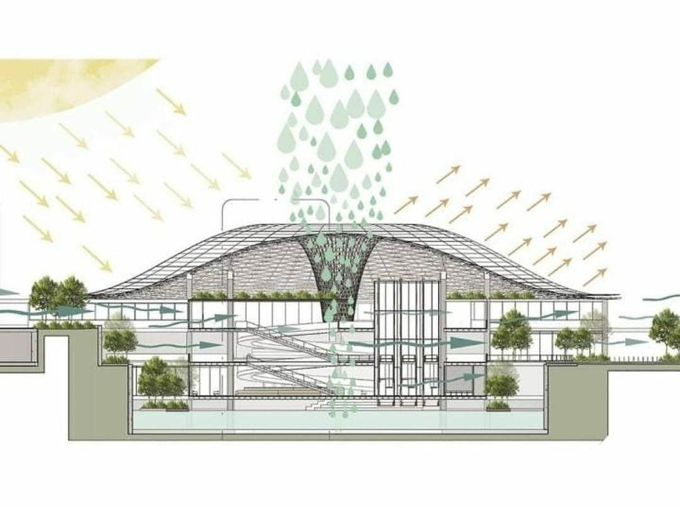 David Attenborough at 100, David Attenborough, Sustainable Architecture, Biomimicry, Environmental Design, Ecological Urbanism, Climate Responsive Design, Nature and Architecture, Art and Environment