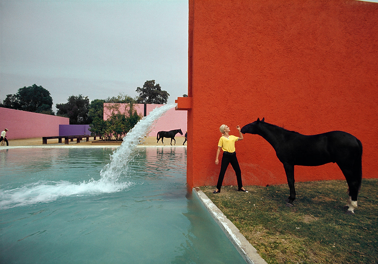 Person in yellow shirt pets horse by red wall, near a water feature. Backdrop includes pink and purple walls and trees.