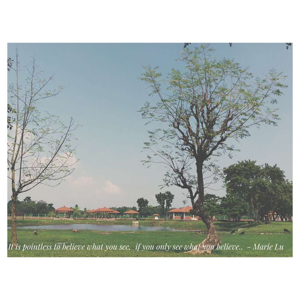 a tree in a park with a quote by marie lu