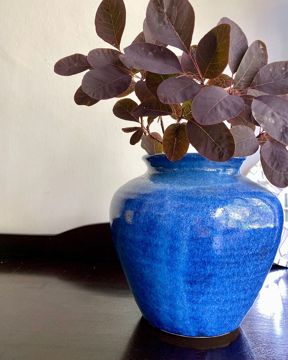 A studio pottery vase in a vibrant cobalt blue, but with a rustic, textured glaze. Sprigs of smokebush make for an unusual display of foliage.