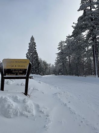 LagunaLodgeSnowMar23.jpg