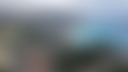 BLOG: How I Met Gino Calabrese