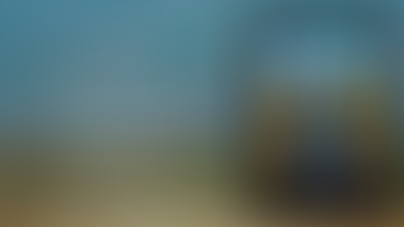 EXCERPT: On Bur Oak Ridge