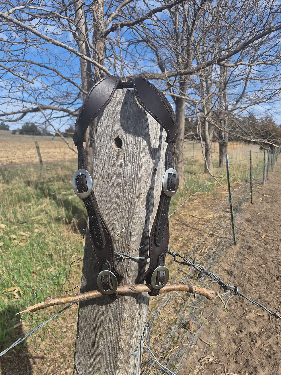 Thumbnail: Scallop Diamond Bridle