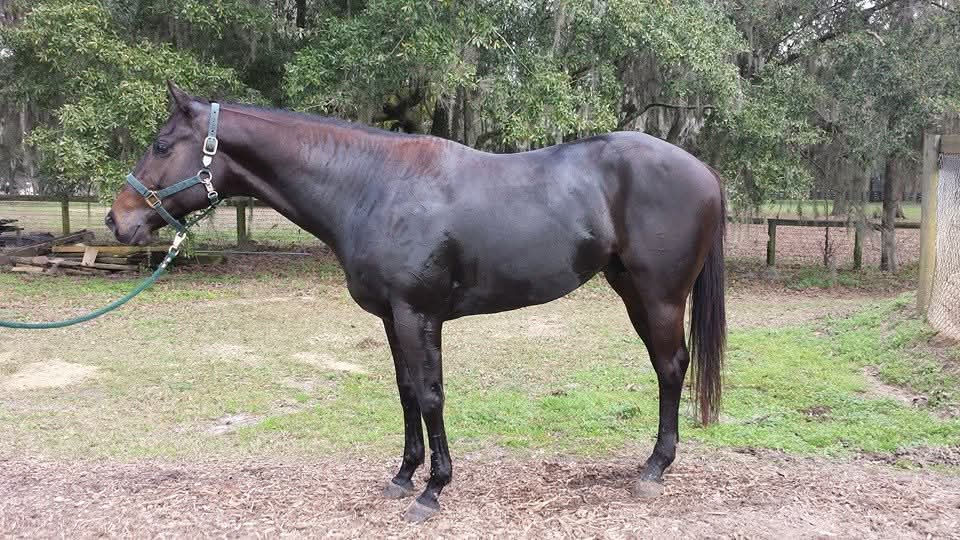 FB_IMG_1761002495892