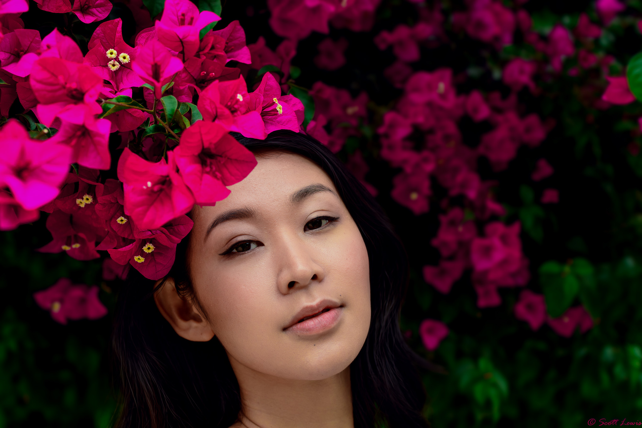 Close flower portrait