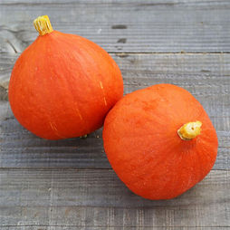 potimarrons.jpg