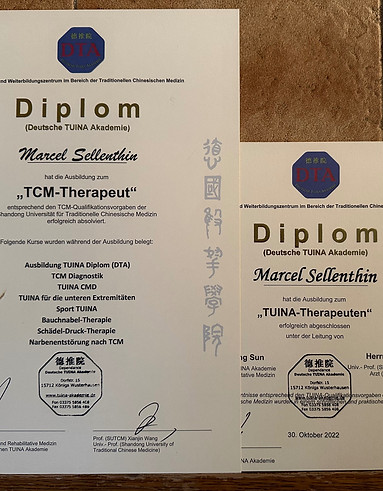 Marcel Sellenthin Zertifikat