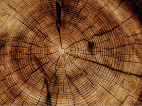 New practice group- Embodying Beginner's Mind