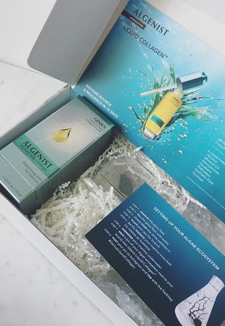 Inside of Influencer Box Design