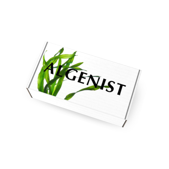 Influencer Box Design