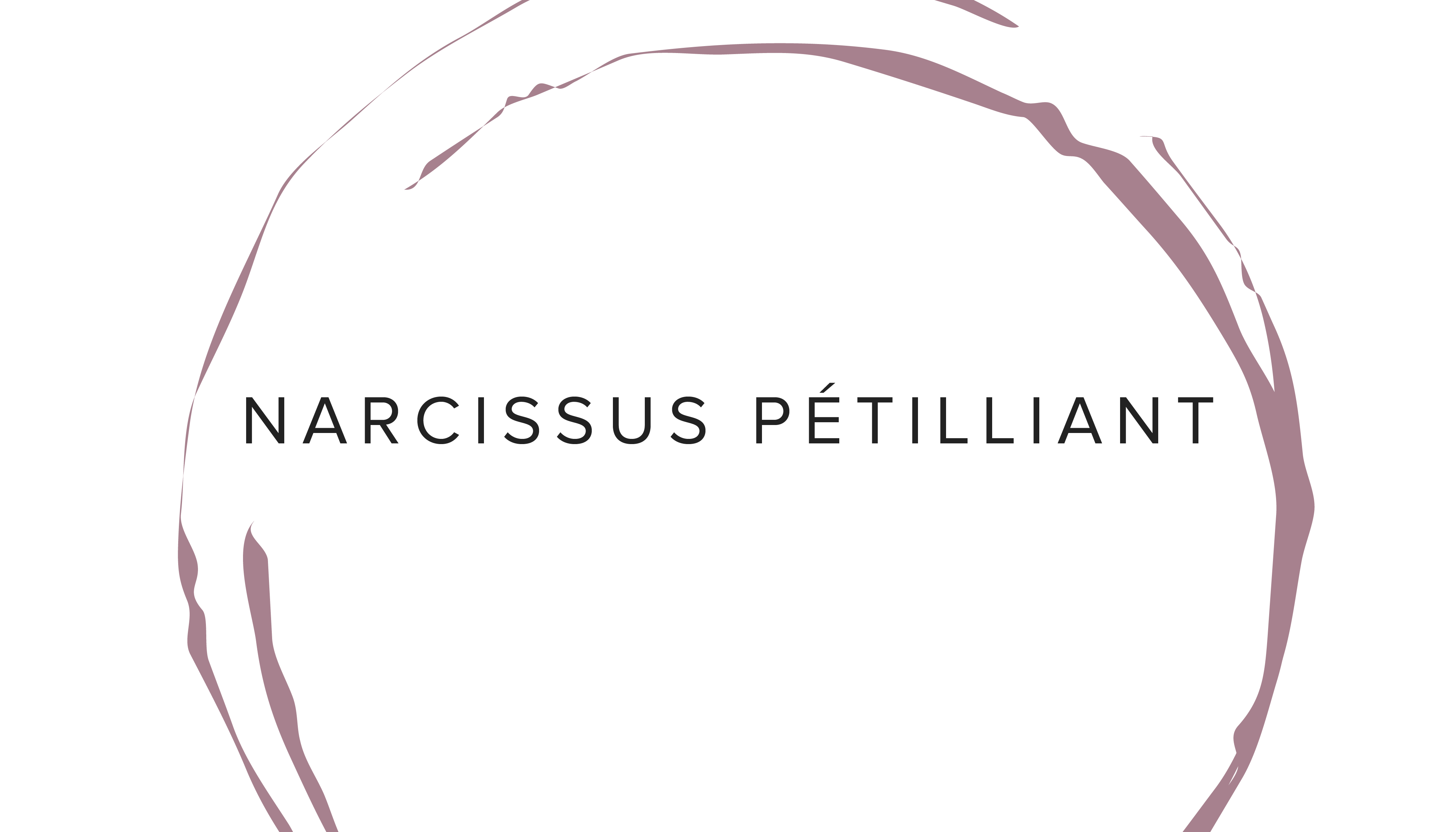 Business Card/Logo Design