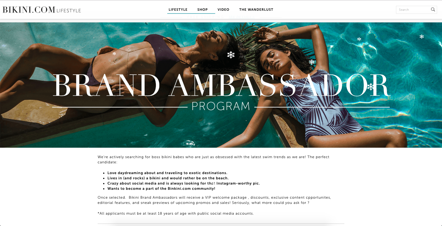 Website Copy