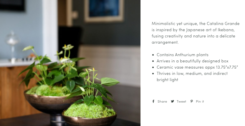 Product Description Copy
