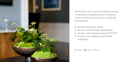 Product Description Copy