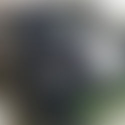 H31年ＢＭＷミニコンバーチブル　ユーザー様よりお買取させていただきました。数ある業者様から弊社をお選びいただき、誠に有難う御座いました