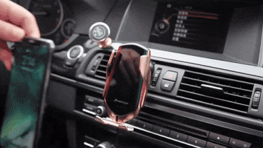 FocusedWatchfulEastsiberianlaika-max-1mb.gif