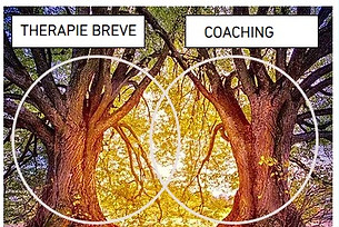 Ma double approche pic.jpg