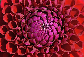 domaines intervention.jpg