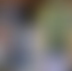 스피노메드의 능동적 운동의 활성화