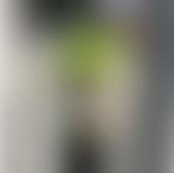 척추보조기의 지지력과 강도