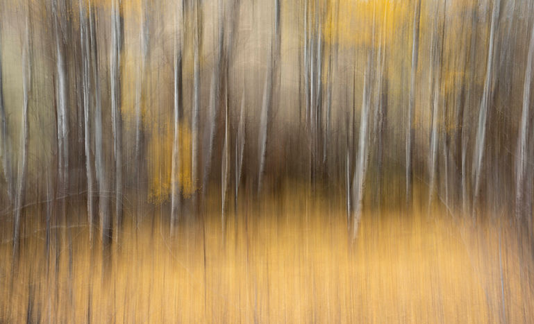 Lavelle Aspens ICM #1.jpg