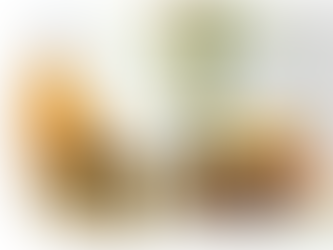 TISZTA LEVEGŐT! 🌿 A növények és az esszenciális olajok tisztítják a belső terek levegőjét 🌱