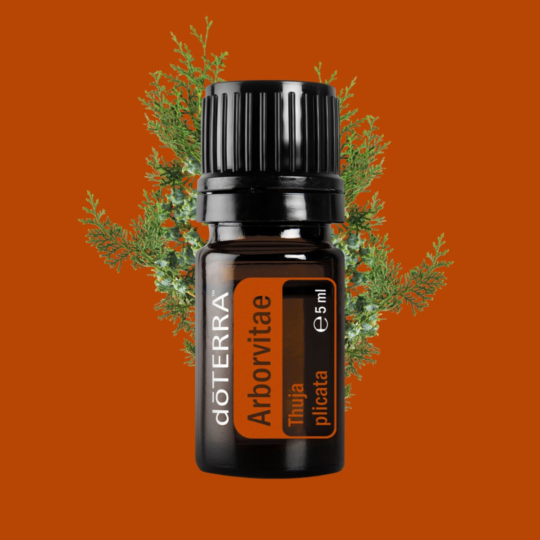 doTERRA Arborvitae- Óriás Tuja Esszenciális Olaj  5ml